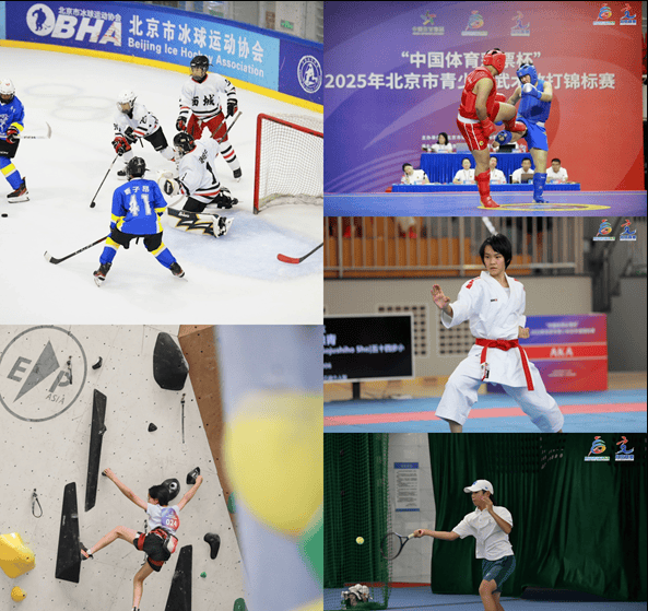 元赛事价值——北京从“双奥之城”迈向“国际名城”冰球突破平台北京体育 着眼赛事体系建设 创造多(图10)